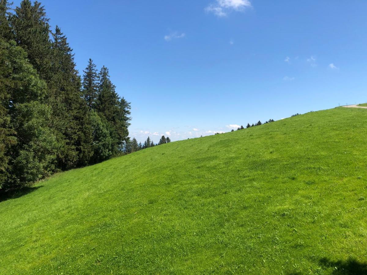 Hirschen Wald - Gasthaus & Baeckerei Exteriör bild
