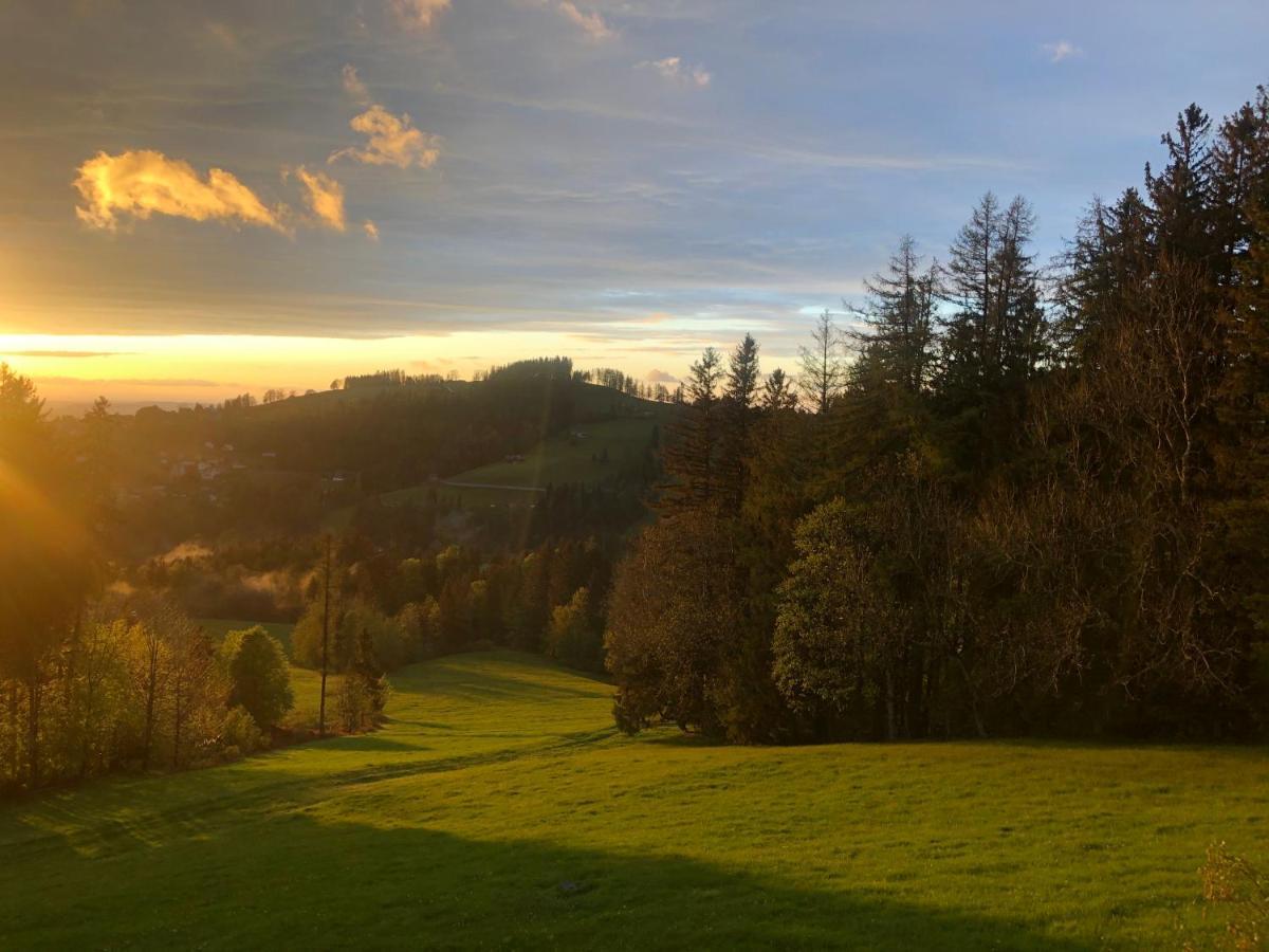 Hirschen Wald - Gasthaus & Baeckerei Exteriör bild