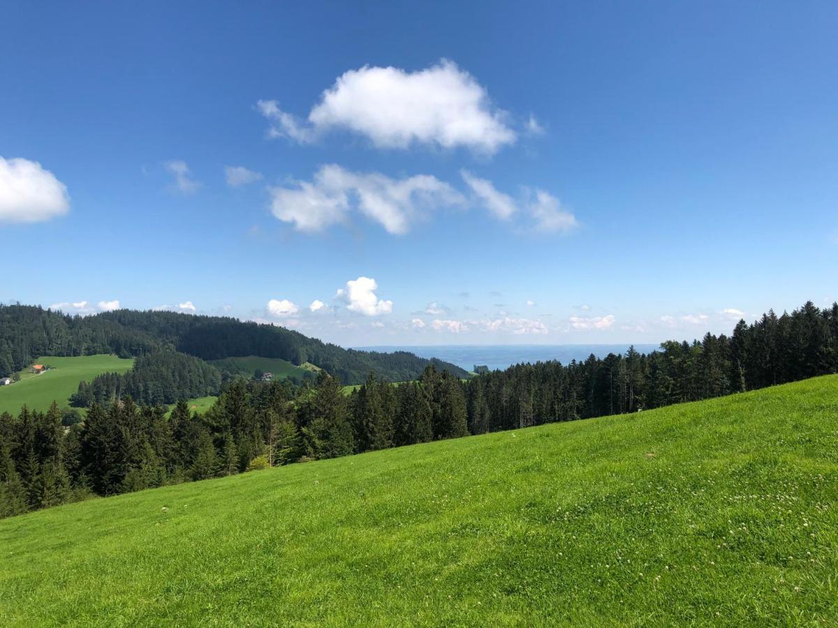 Hirschen Wald - Gasthaus & Baeckerei Exteriör bild