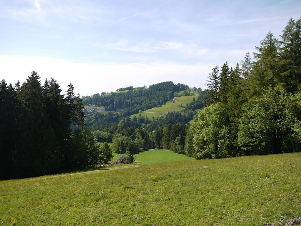 Hirschen Wald - Gasthaus & Baeckerei Exteriör bild